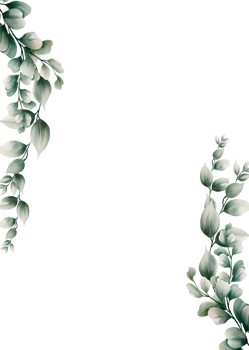 Watercolor eucalyptus leaf frame png