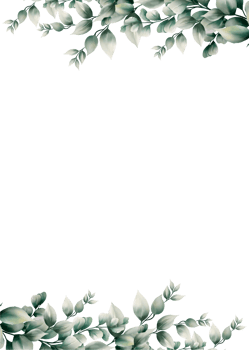 Watercolor eucalyptus leaf frame png