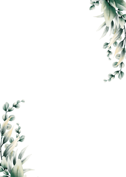 Watercolor eucalyptus leaf frame png