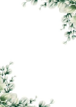Watercolor eucalyptus leaf frame png
