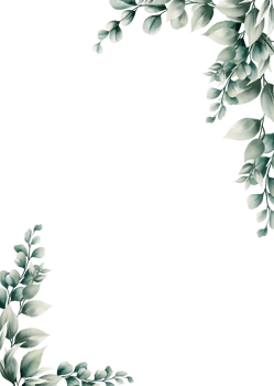 Watercolor eucalyptus leaf frame png