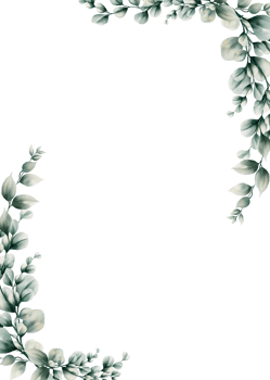 Watercolor eucalyptus leaf frame png