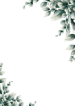 Watercolor eucalyptus leaf frame png