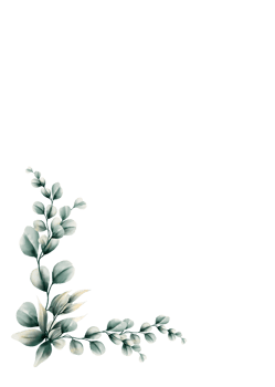 Watercolor eucalyptus leaf png