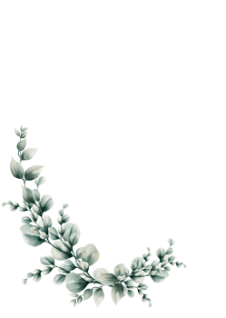 Watercolor eucalyptus leaf png