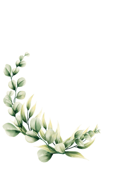 Watercolor eucalyptus leaf png