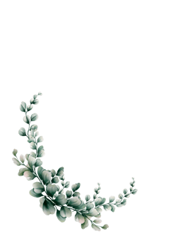 Watercolor eucalyptus leaf png