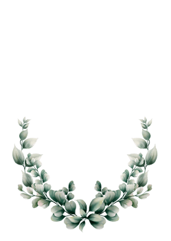 Watercolor eucalyptus leaf png