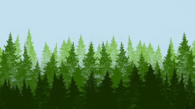 forest landscape, vector illustration background