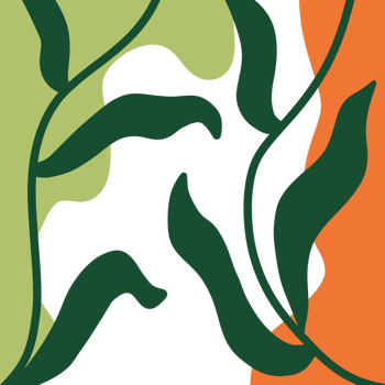 decorative Aesthetic Leaf png