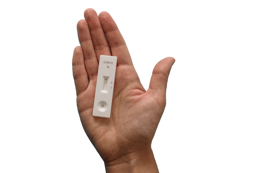hand holding antigen covid png