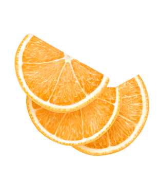 orange slice isolated png