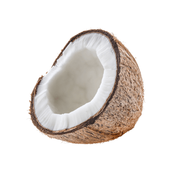 brown coconut isolated png