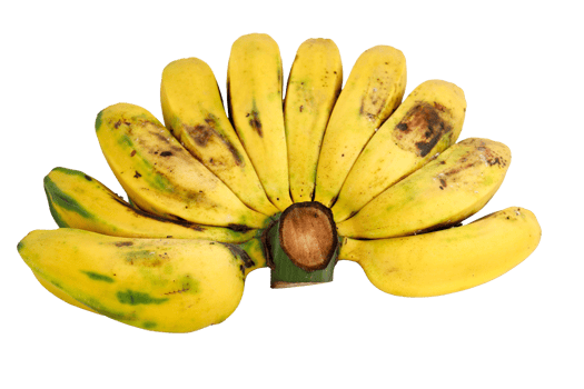 bunch of bananas png