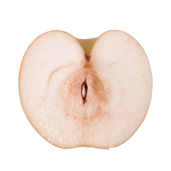 Slice Apple png