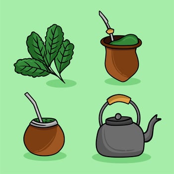 Yerba mate chimarrao gaucho drink traditional vector