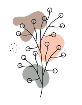 botanical plant image vector