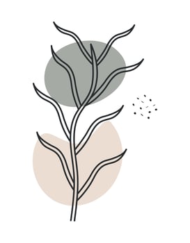 botany plant design vector