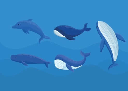 colored whales bundle vector