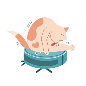 Cat on robot vacuum cleaner flat design vector illustration, isolated on white background