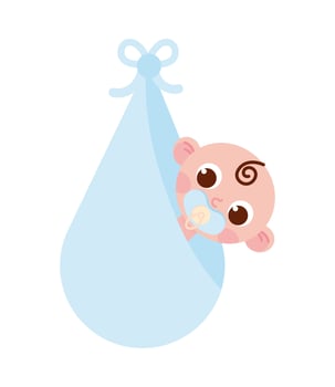 baby in a blanket vector