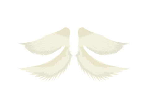 angel wings icon vector