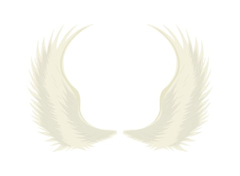 elegant angel wings vector