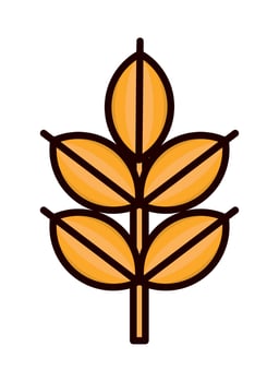 wheat branch icon vector