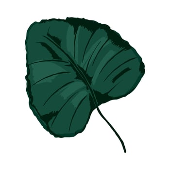 exotic leaf icon vector