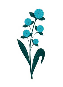 flowers flat design vector