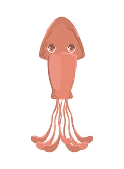 squid sea life vector
