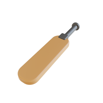 3D illustration Cricket bat sport png