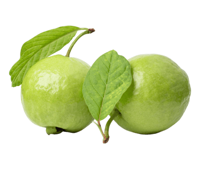 Fresh guava with leaf isolated on white background. with clipping path png