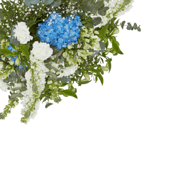 Fresh and colorful bouquet of flowers blooming beautiful first isolated on black background with clipping path png