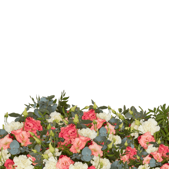 Fresh and colorful bouquet of flowers blooming beautiful first cut out transparent background png