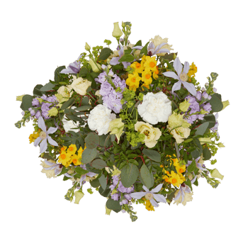 Fresh and colorful bouquet of flowers blooming beautiful first cut out transparent background png
