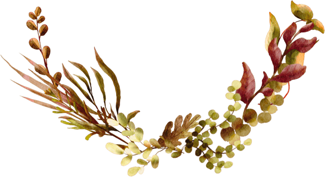 watercolor flower arrangement png