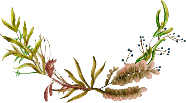 watercolor autumn flower png