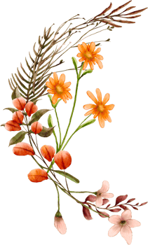 watercolor autumn flower png