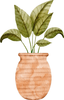 watercolor house plant clip art png