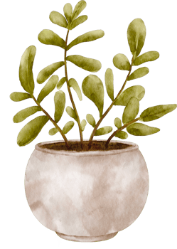 watercolor house plant clip art png