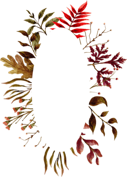 watercolor leaves frame clip art png