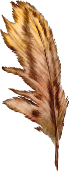 watercolor feather clip art png