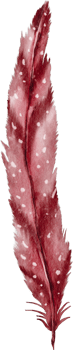 watercolor red feather clip art png