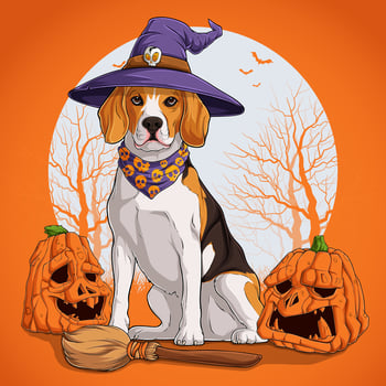 Beagle dog in Halloween disguise sitting on a broom and wearing witch hat with pumpkins on his sides vector