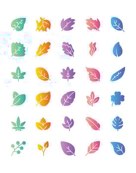 leaf Icon Set 30 isolated on white background vector