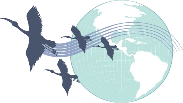 Silhouette stork birds flying with earth planet vector