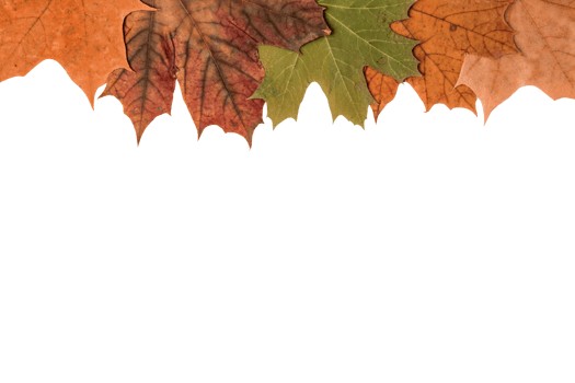 autumn leaf frame png