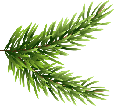 Christmas Garland Clipart png
