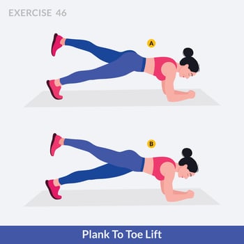 Plank to Toe Lift exercise, Woman workout fitness, aerobic and exercises. vector